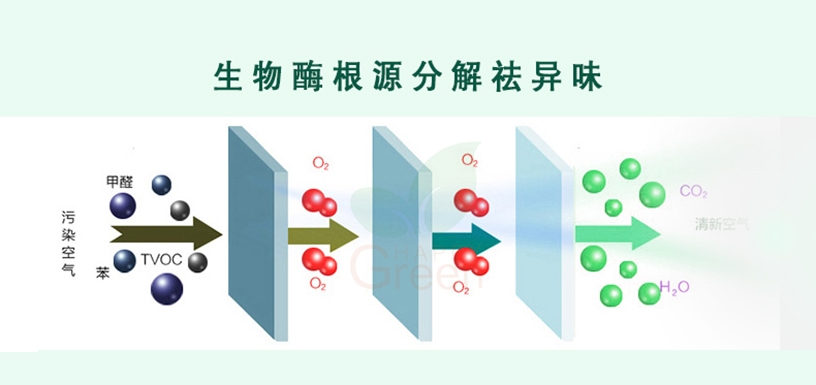 格瑞樂環(huán)保，綠快，生物酶根源分解祛異味