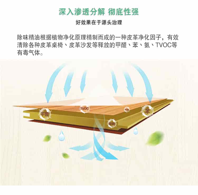深入滲透分解 徹底性強，好效果在于源頭治理，除味精油根據(jù)植物凈化原理精制而成的一種皮革凈化因子，有效清除各種皮革桌椅丶皮革沙發(fā)等釋放的甲醛丶苯丶氨丶TVOC等 有毒氣體。